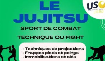 Ado (>16 ans) ou adulte, garçon ou fille, Vous recherchez un art martial - sport de combat dans la region ?